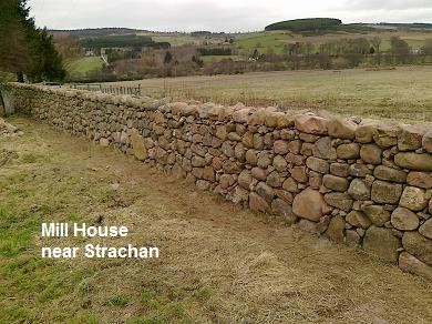 Strachan dyke 1